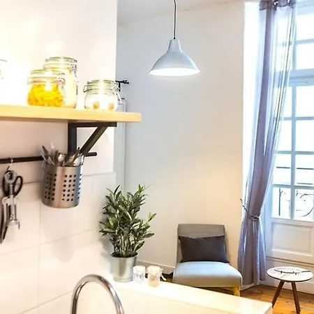 Apartament L'impressionniste-charme De L'ancien-hypercentre Nantes